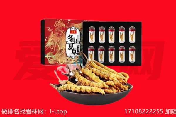 无棣县回收虫草.jpg